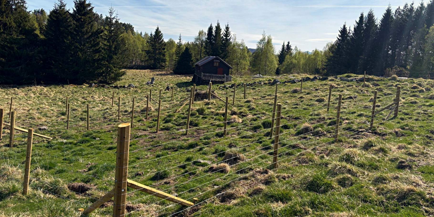 Skilleanlegg for sau i high tensile netting montert av HT Gjerde Sogn og Fjordane