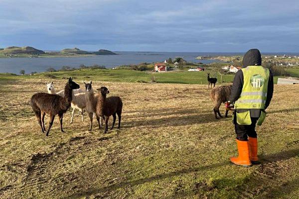 Forhandler for HT Gjerde AS Arild Risa