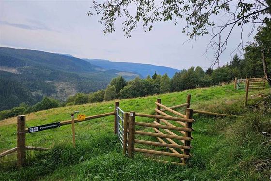 Spesialtilpassede