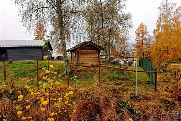 Flettverksgjerde på trepåler